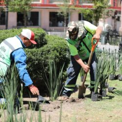 3776cdce-dfe0-4a96-a23a-dc0c66b71a3c