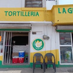 6 AUMENTA