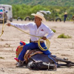 73cc679b-84fb-49c4-a218-1817e46aceeb