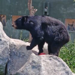 7f1a85b0-0769-44cc-ae34-27265bc01864