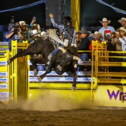 94f1395a-9566-4e87-8226-6f6d73e0360c