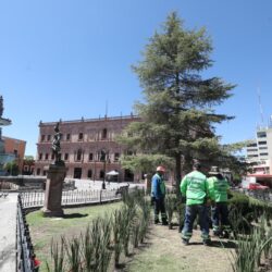 96718a6d-6c22-4891-94d5-e1fd78554e7f