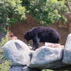 99e95f4c-90e4-4159-b37e-041b6fc6943a