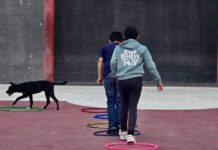 Concluye con éxito Curso de Primavera del CIJ Ramos Arizpe con amplia participación infantil
