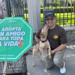 Concretan más de 180 adopciones de perros y gatos rescatados en la Ruta Recreativa1