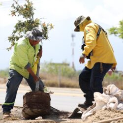 Extiende Javier Díaz programa de reforestación por todo Saltillo1