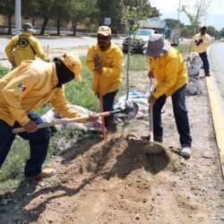 Extiende Javier Díaz programa de reforestación por todo Saltillo2