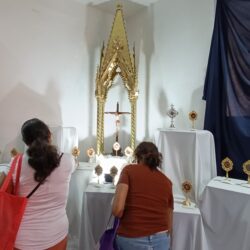 Fe palpable 8