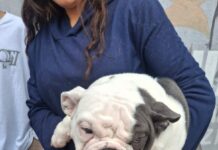 Fortalece Ramos Arizpe acciones permanentes de bienestar animal