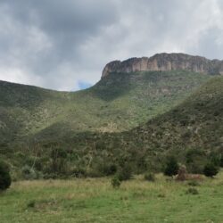 Ha perdido la Sierra de Zapalinamé más del 70 por ciento de su masa boscosa