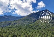 Ha perdido la Sierra de Zapalinamé más del 70 por ciento de su masa boscosa