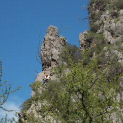 IMG-20260403-WA0022