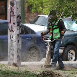 Intensifica Javier Díaz jornada de atención en Lomas Verdes
