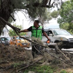 Intensifica Javier Díaz jornada de atención en Lomas Verdes6