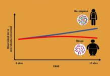 Leche de madres con obesidad y sobrepeso impacta microbiota intestinal de sus recién nacidos