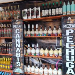 Llega a Saltillo muestra artesanal y gastronómica de Oaxaca y Chiapas