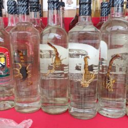 Llega a Saltillo muestra artesanal y gastronómica de Oaxaca y Chiapas3