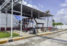 Planta que producirá moscas estériles para erradicar el gusano barrenador del ganado lleva 75% de avance