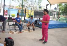 Realiza Municipio campaña de esterilización y bienestar animal en Saltillo 2000