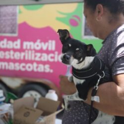 Realiza Municipio campaña de esterilización y bienestar animal en Saltillo 20001