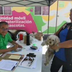 Realiza Municipio campaña de esterilización y bienestar animal en Saltillo 20002