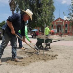 Realiza Saltillo limpieza profunda en Parque Lineal de Bellavista1