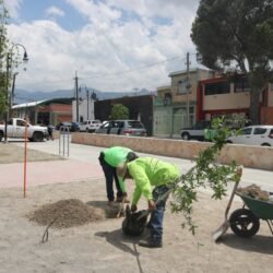 Realiza Saltillo limpieza profunda en Parque Lineal de Bellavista5