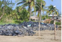 Recogen chapopote, pero lo abandonan en bolsas en Veracruz