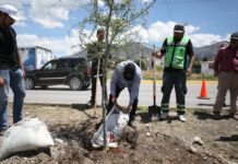 Refuerza Ayuntamiento acciones de reforestación al sur de Saltillo