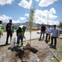 Refuerza Ayuntamiento acciones de reforestación al sur de Saltillo2