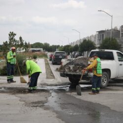 Refuerza Ayuntamiento acciones de reforestación al sur de Saltillo4