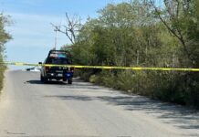 Reportan 5 abatidos en enfrentamiento en General Terán