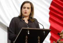 Urgen medidas efectivas de prevención en cruces ferroviarios: Beatriz Fraustro