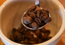 Café latinoamericano logra fuerte crecimiento en su reconocimiento y popularidad en China