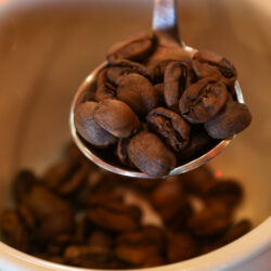 EL SALVADOR-SONSONATE-CHINA-CAFE
