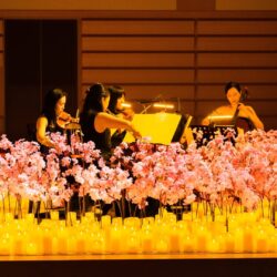 cfe9ab2c-faec-4c41-b44d-eeceb1b64f83