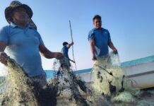 Crearán Observatorio del Golfo por derrame de hidrocarburo