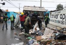 Darán recompensa en Saltillo a quien exhiba a “cochinones”