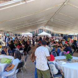 e88ba15f-6b34-4b11-8bcf-d46bfdaa145f