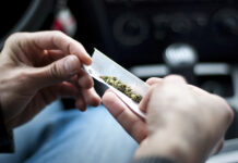 El consumo de mariguana en adolescentes afecta la memoria y la función cognitiva, señala estudio