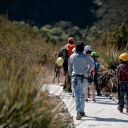 f3c52180-5053-42e2-b94e-a6534fdd0d82