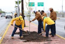 Intensifica Javier Díaz limpieza de callejones en la Morelos; invita a denunciar a quien los ensucie