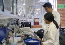 Investigadores realizan rastreo celular para entender y diagnosticar enfermedades autoinmunes raras