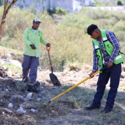 optimiza 6