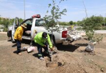 Recupera y embellece Javier Díaz plaza pública al oriente de Saltillo