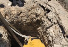 Rescata Protección Civil a burrito en ejido de Saltillo