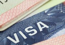 Restringe EU 75 visas del entorno del Cártel de Sinaloa