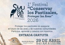 Será este 29 de abril en el MUSAVE el primer festival “Conservar los Pastizales, Proteger las Aves” 2026