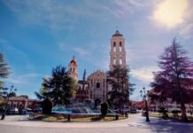 Tendencias de entretenimiento que marcan la agenda en Saltillo