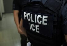 Tras 15 muertos, ordena Sheinbaum visitas diarias a centros de ICE